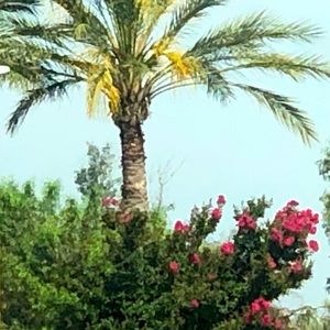 Meet your Posher, Julia